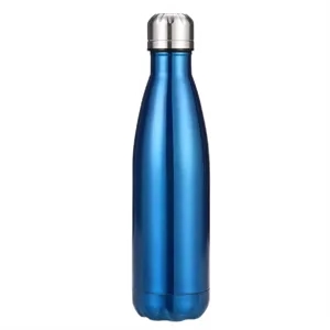 17 Oz Stainless Steel Water Bottle