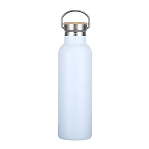 20 oz. Wide Mouth Stainless Steel Vacuum Bottle