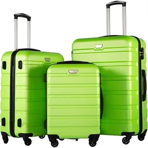 20" Spinner Carry-On Luggage