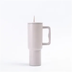 Steel Water Bottle with Handle and Straw Lid